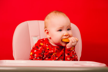 Best Highchairs for Babies in the UK: 2025 Buyer’s Guide