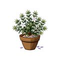 Toxic Houseplants and Products to Avoid in UK Homes With Babies