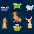 Pet Safety and Baby-Proofing: Creating Harmony in Your Home
