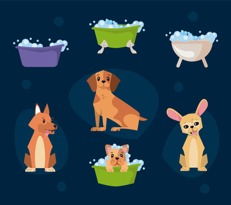 Pet Safety and Baby-Proofing: Creating Harmony in Your Home