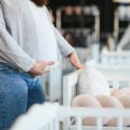 Top Highchair Brands in the UK: A Side-by-Side Comparison